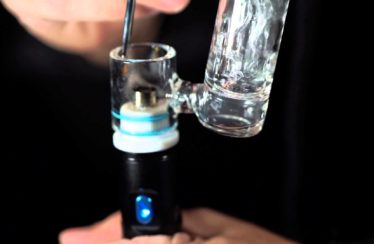 Introducing the Boost by Dr. Dabber