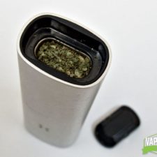 Pax 2