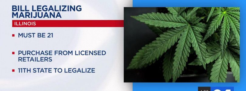 Illinois Senate approves recreational Marijuana